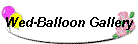 Wed-Balloon Gallery