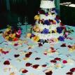 Special Fruit and Flower cake decor