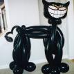 Black Cat