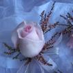 Pink rose boutonniere