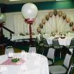Balloon Peacock Arch and 3 foot illusion